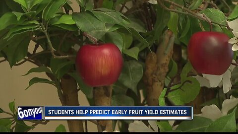 Is artificial intelligence the future of farming? These local students think so