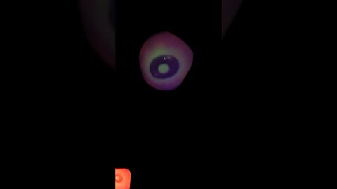 👁IT'S WATCHING YOU😱 #halloween #halloween2023 #halloweenseason #spooky #spookyseason #eyeballs #eyes