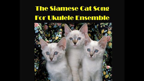 The Siamese Cat Song for Ukulele Ensemble