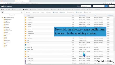 How to edit htHypertext access file through cPanel File manager with FelizHosting