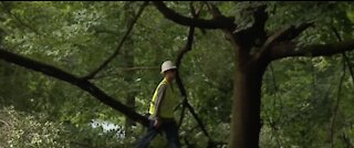 Picking up the pieces after severe storms roll through area