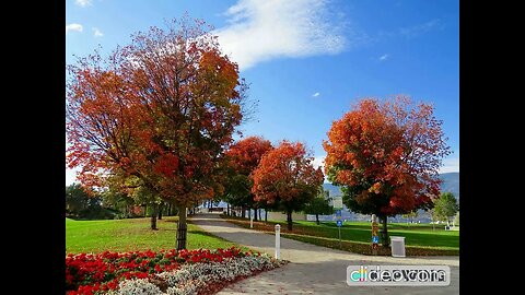 City Park Ambience Sound Meditation | Ambience Music