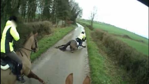 Ce cheval dérape sur une route glissante