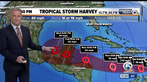 Tropical Storm Harvey bringing rain to Windward Islands