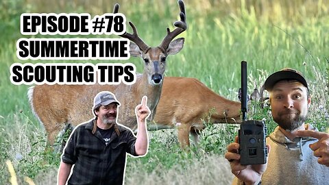 Episode #78 - Summertime Scouting Tips for BIG BUCKS