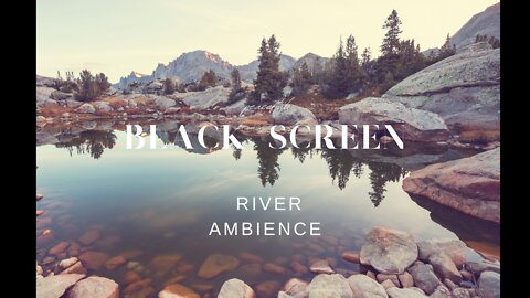 🌿Nature sounds🌿of a forest river for relaxation black screen # 5