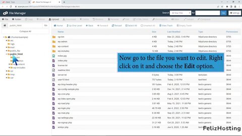 How to Edit file in the cPanel File Manager with FelizHosting