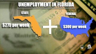 Florida business owners struggle to find workers: 'We shouldn’t be competing with the government'