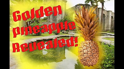 Golden Selection Pineapple