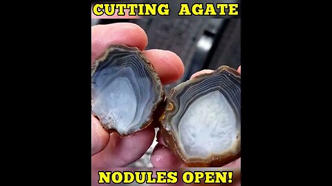 Agate nodules cut open w/ lapidary saw!