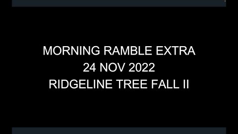 Morning Ramble Extra - 20221124E - Ridgeline Tree Fall II