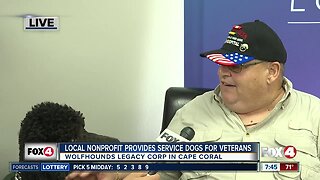 Nonprofit rescues, trains service dogs to pair with U.S. veterans