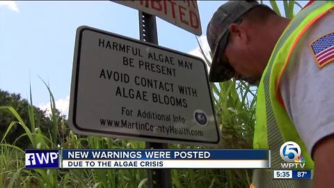 Algae warning signs posted in Martin County