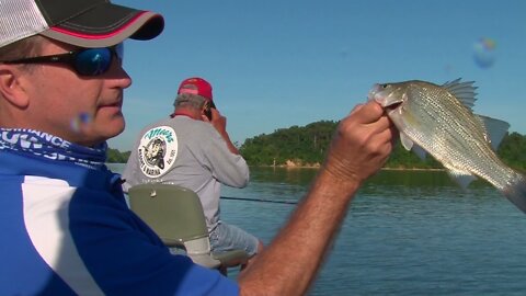 MidWest Outdoors TV Show #1620 - White Bass on Kentucky Lake at the Moors Resort