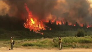 Pine Gulch Fire on Western Slope grows to over 20K acres, 7% contained