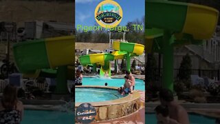 Camp Margaritaville RV Resort and Lodge Pool Slide in March 2022 #shorts