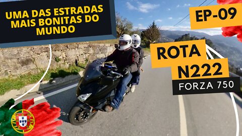 FORZA 750 na N-222 uma das ESTRADAS MAIS BONITAS DO MUNDO - Portugal | EP - 09