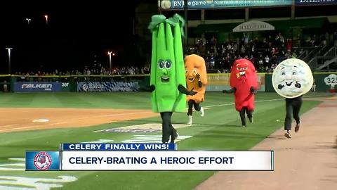 Celery wins! Celery wins! Celery wins!Celery wins! Celery wins! Celery wins!