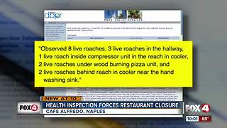 Collier restaurant closed after roaches found