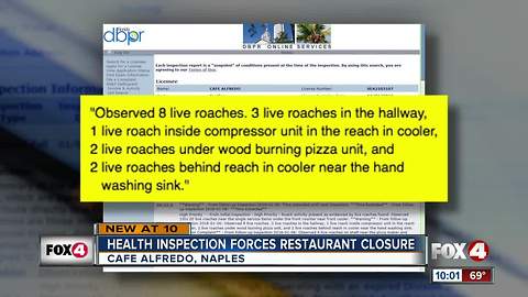 Collier restaurant closed after roaches found