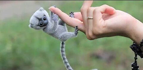 Top 10 Cutest Exotic Animals