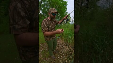 When The Fish Are Fired Up🔥 But You Can't Keep'em Pinned! 🤦‍♂️😅#shorts #fishingshorts