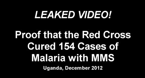 Red Cross Cured 154 Malaria Cases with MMS