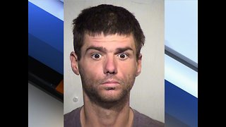 Tempe PD: Man cuts down 53 cacti with machete - ABC15 Crime