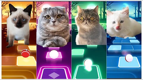 cats singing WEDNESDAY VS 2 PHUT HON VS BELIEVER VS BAD GUY | Tiles Hop: EDM Rush!