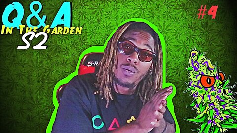 Q&A | In The Garden | Season 2 Episode 4