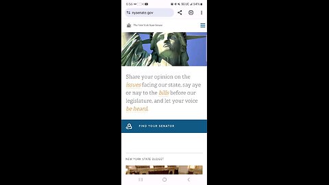 Taking a look at the New York State Senate website. nysenate.gov on May 15, 2024.