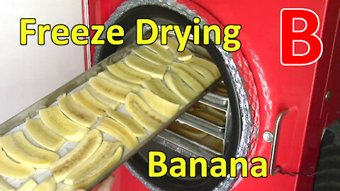 Freeze Drying Banana Slices