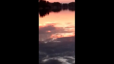 Big River on Gumbayngirre Country at Sunset 🌇