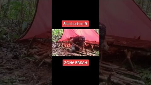 Bushcraft Zona Basah ASMR #outdoors #forest #bushcraft #asmr #shorts