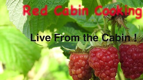 Red Cabin Cooking Live !