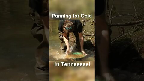 Tennessee Gold Panning!