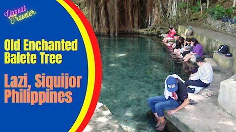 Old Enchanted Balete Tree, Lazi, Siquijor, Philippines