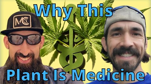 Why is this plant medicine?