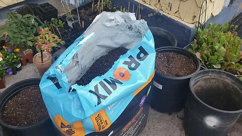 How to prepare amazing soil in recycled containers