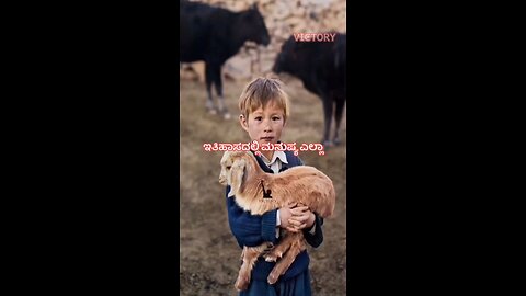 ತೋಳಗಳ ಬ್ರಬಲತೆ