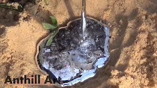 Casting a Winter Ant Colony with Molten Zinc (Cast #058)