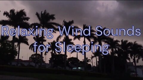 Relaxing Wind Sounds for Sleeping Studying and Relaxing