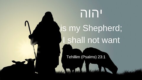 Shabat Study Psalm 23 and 24, Proverbs 11 and Matthew 11