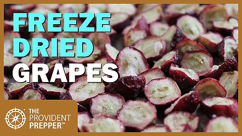 Food Storage: Freeze-Dried Red Grapes