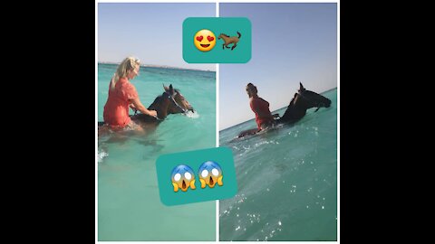 swimming horses and the Beautiful sea😱🐎❤