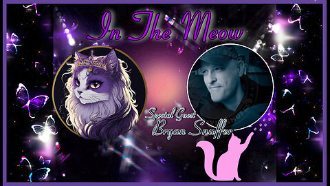 In The Meow | With Special Guest Bryan Snuffer (Full Video)