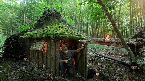 A cozy log cabin for survival under an upturned root. Bushcraft, Dugout, Catch and Cook