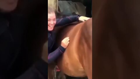 Both horse 🐎 and owner are loyal to each other | #Shorts #Animals #Horse