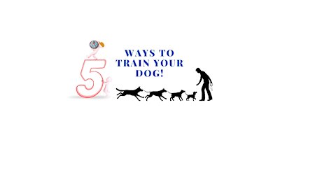 5 ways to train your dog to obey!