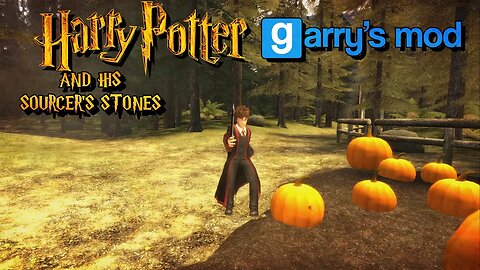 HARRY POTTER & HIS SOURCER'S STONES!